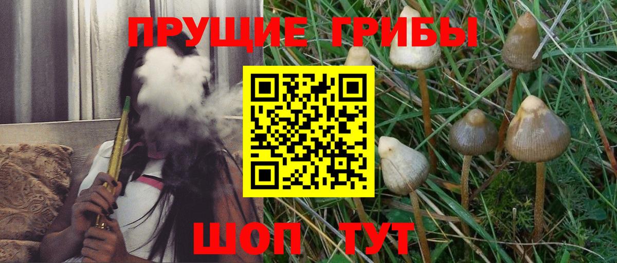 COCAIN  Гашиш  МАРИХУАНА  A PVP СОЛЬ   Меф МЯУ МЯУ   Александров  Вход с VPN  ГЕРОИН 