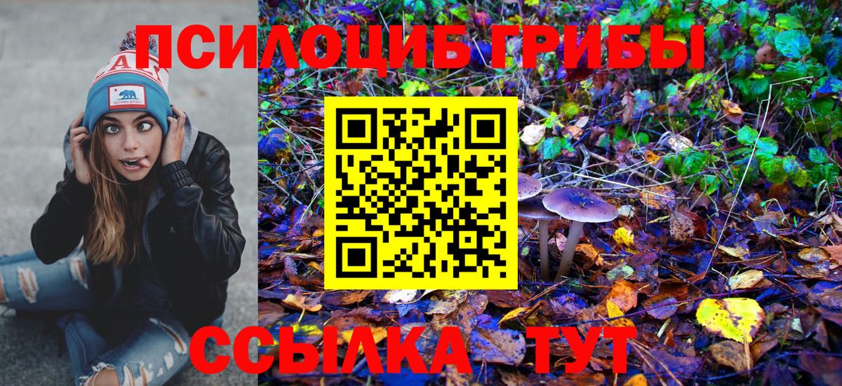 Псилоцибиновые грибы Psilocybine cubensis  Вход с VPN  Александров  Псилоцибиновые грибы ЛСД 